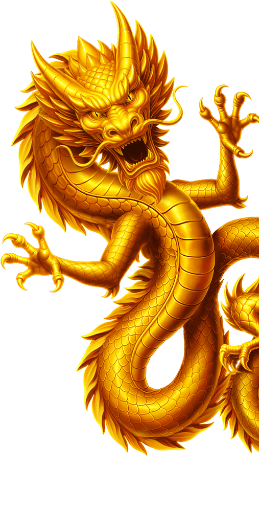 Coins of Dragon