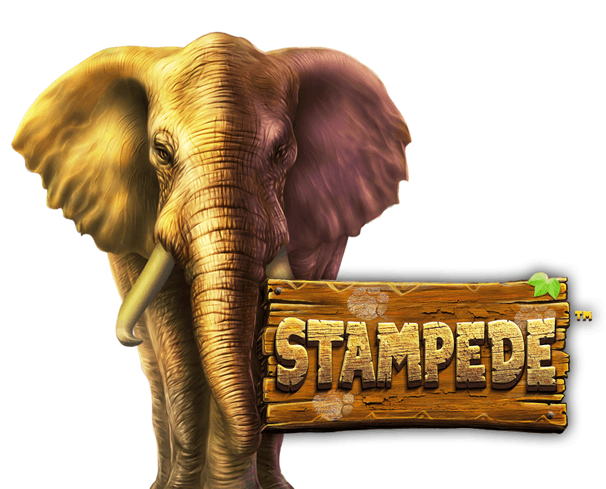 Stampede