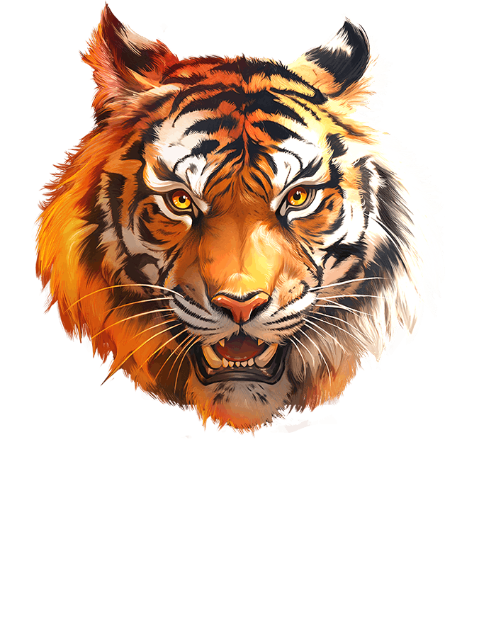 Tiger's Luck - HOLD & WIN
