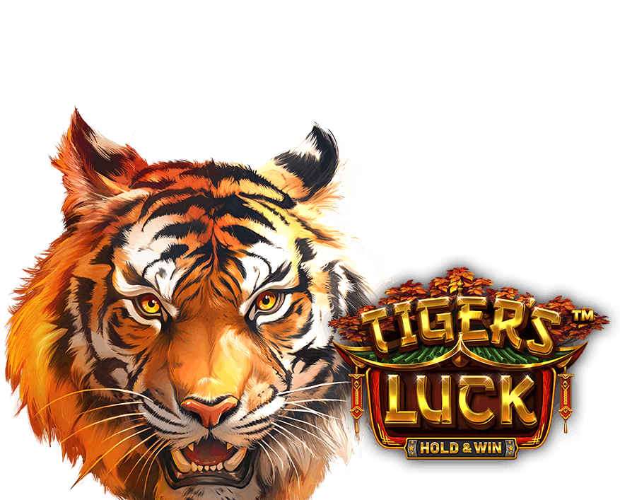 Tiger's Luck - HOLD & WIN