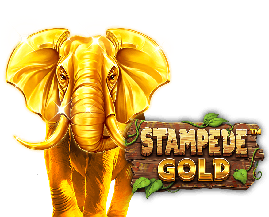 Stampede Gold