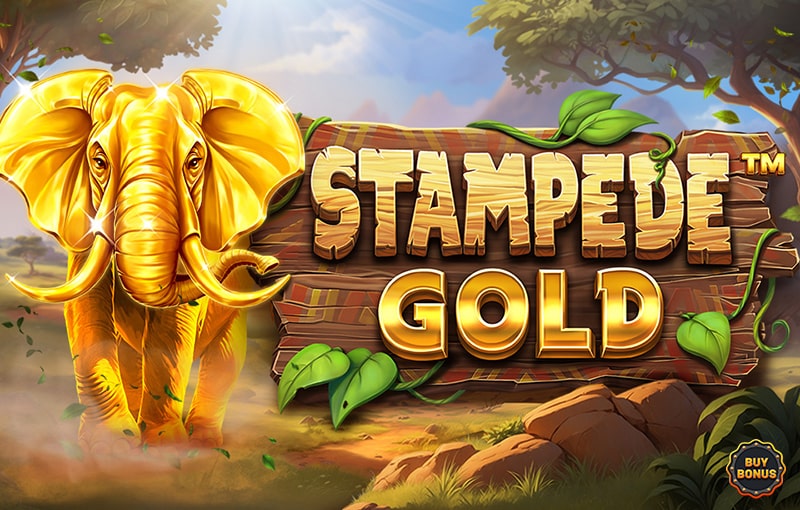 Stampede Gold
