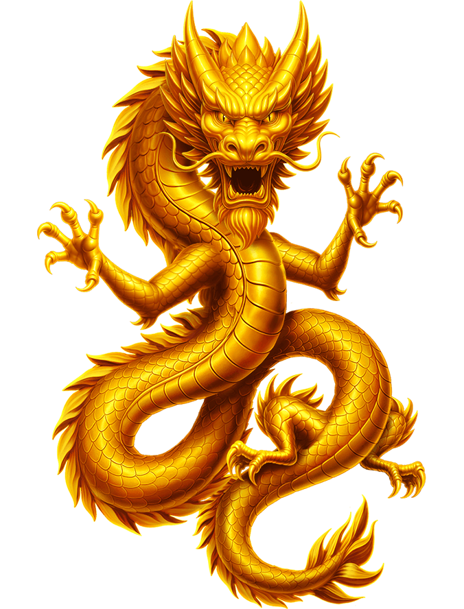 Coins of Dragon