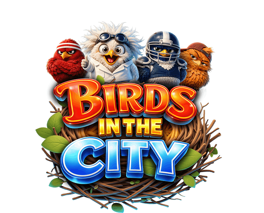 Birds in The City