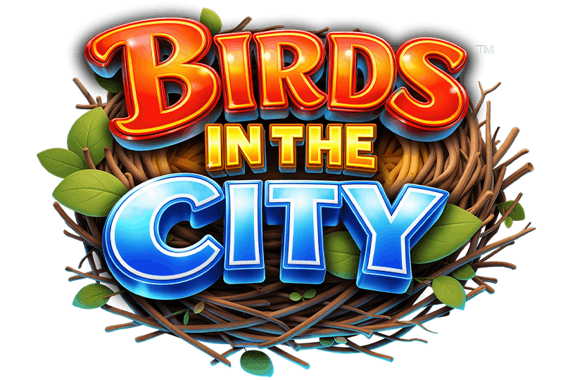 Birds in The City